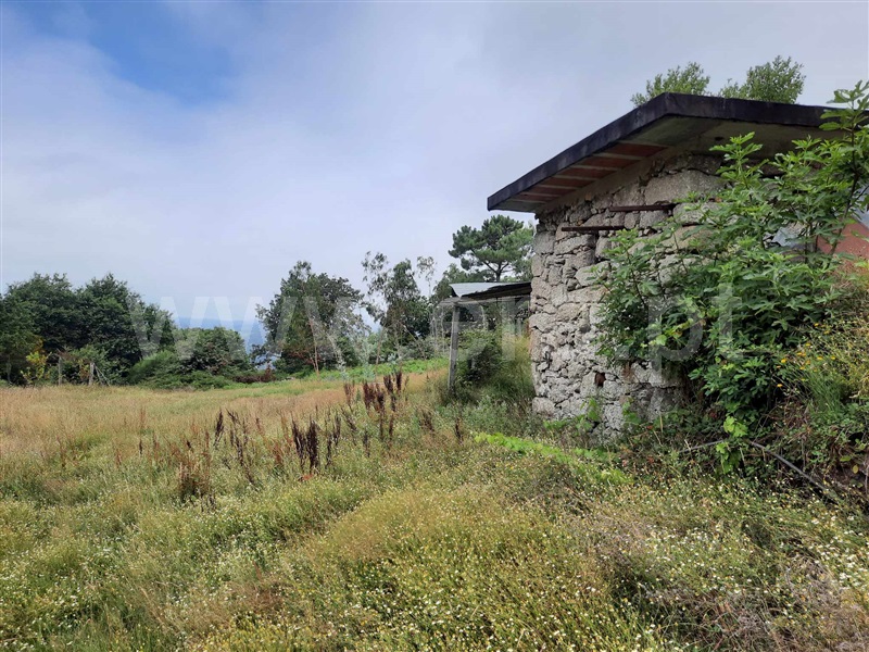 Terreno / Fafe, Monte e Queimadela