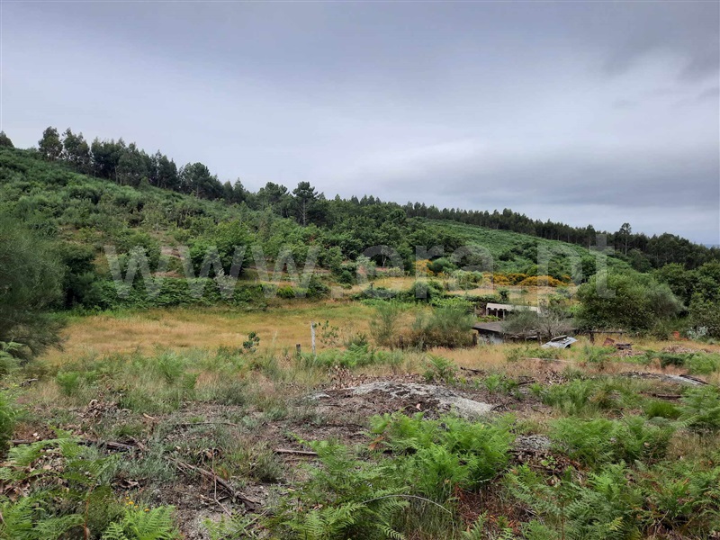 Terreno  Fafe, Monte e Queimadela - 1343898 - 14