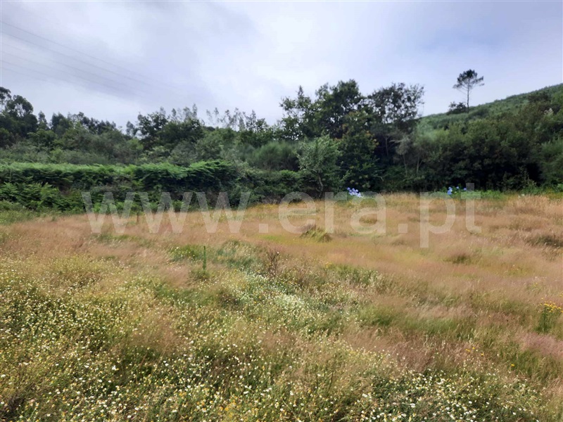 Terreno  Fafe, Monte e Queimadela - 1343898 - 16