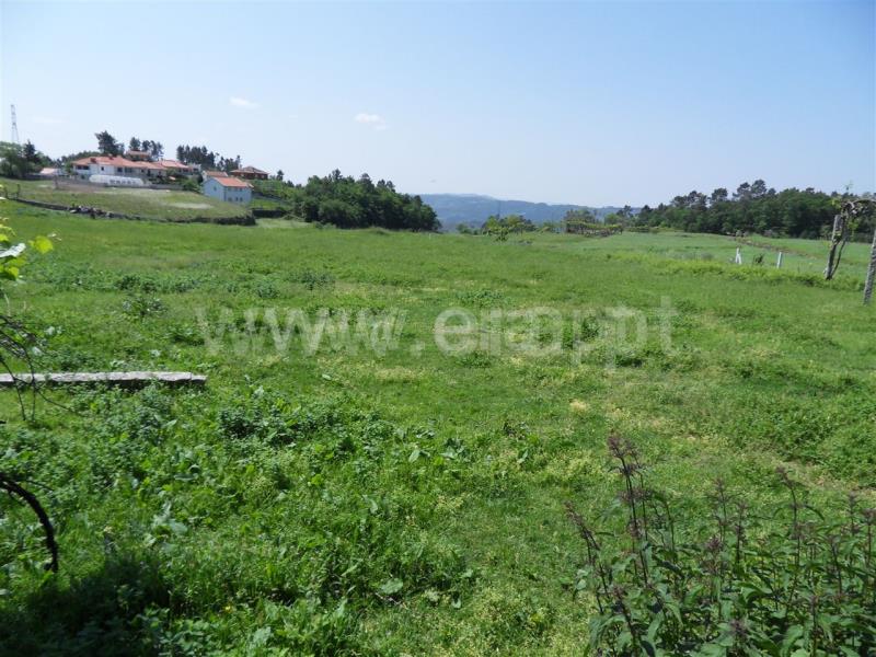 Terreno / Fafe, Monte e Queimadela