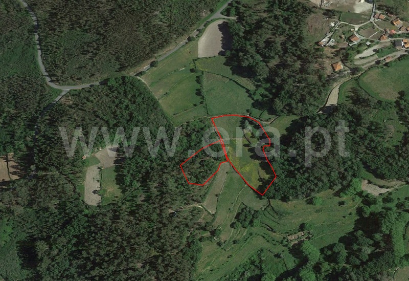 Terreno  Fafe, Monte e Queimadela - 708432 - 10