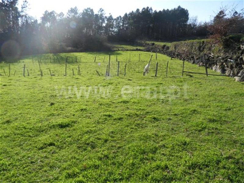 Terreno  Fafe, Monte e Queimadela - 708432 - 2