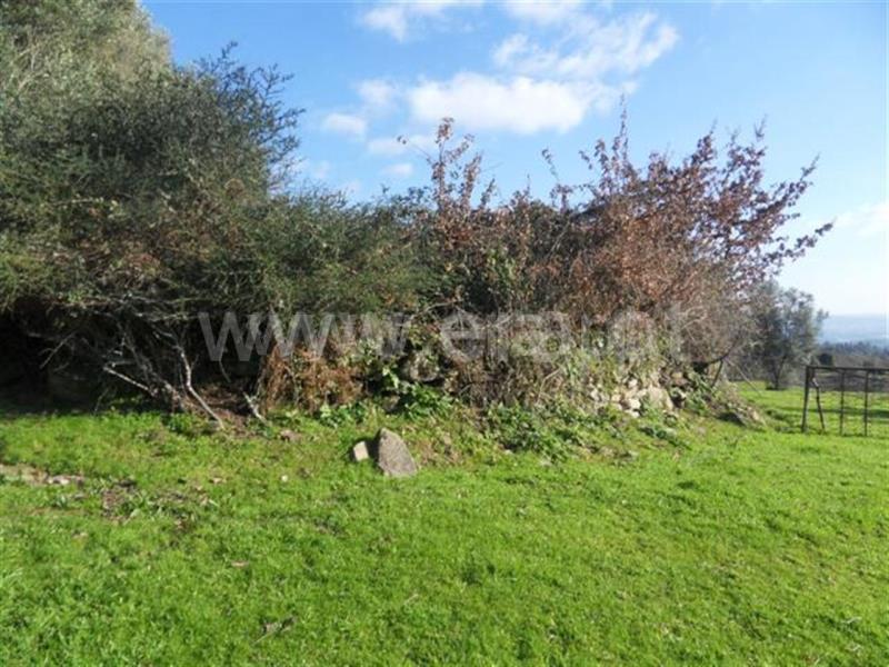 Terreno  Fafe, Monte e Queimadela - 708432 - 5