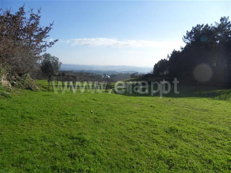 Terreno  Fafe, Monte e Queimadela - 708432 - 6