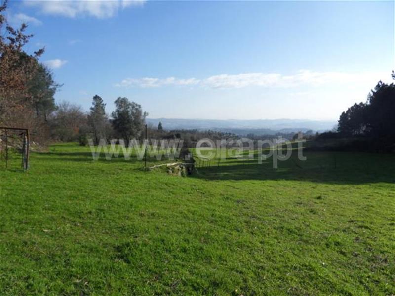 Terreno  Fafe, Monte e Queimadela - 708432 - 8