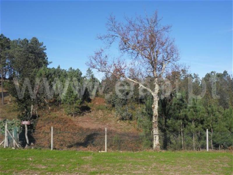 Terreno  Fafe, Monte e Queimadela - 708441 - 2