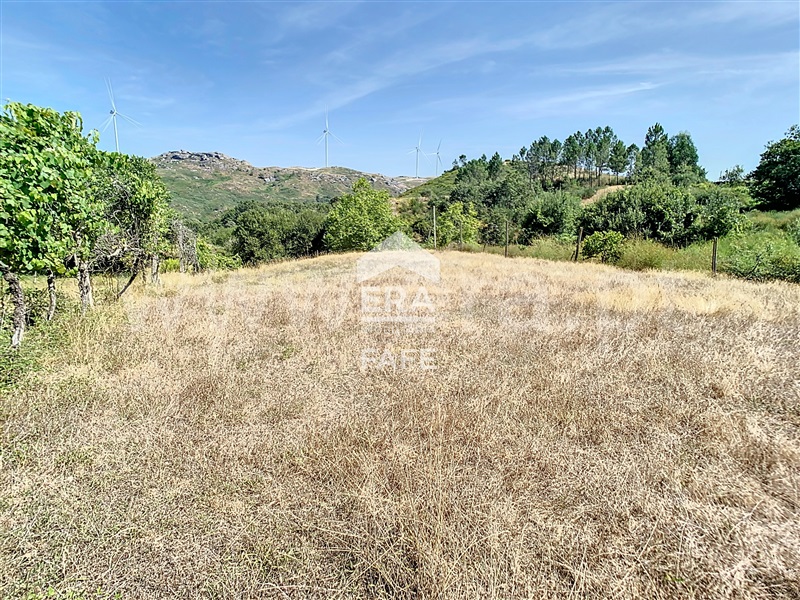 Terreno  Fafe, Moreira do Rei e Várzea Cova - 1432484 - 2