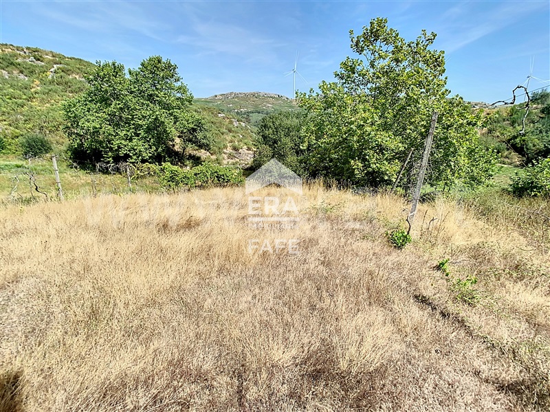 Terreno  Fafe, Moreira do Rei e Várzea Cova - 1432484 - 3