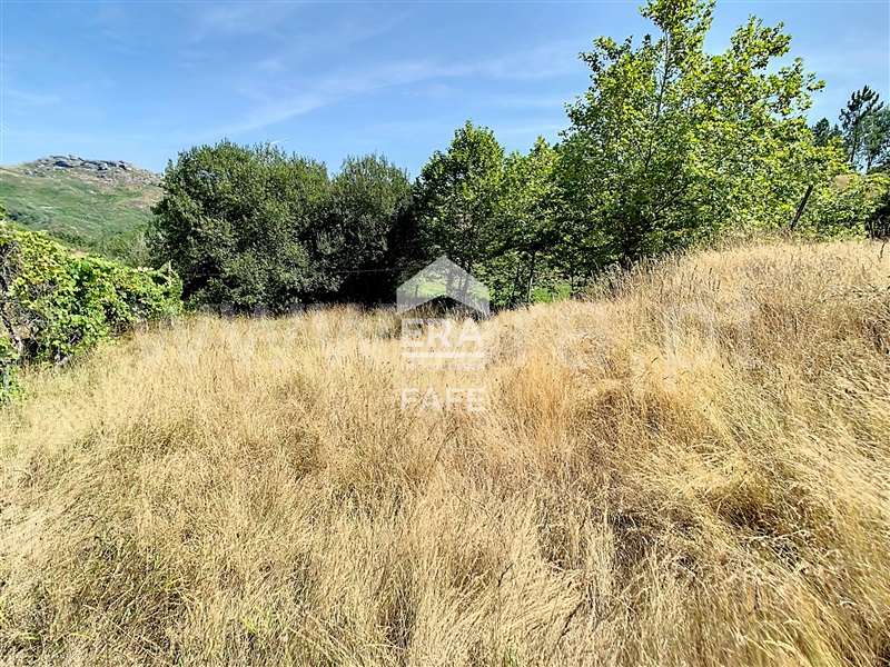 Terreno  Fafe, Moreira do Rei e Várzea Cova - 1432484 - 4