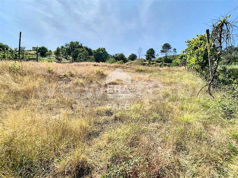 Terreno  Fafe, Moreira do Rei e Várzea Cova - 1432484 - 5