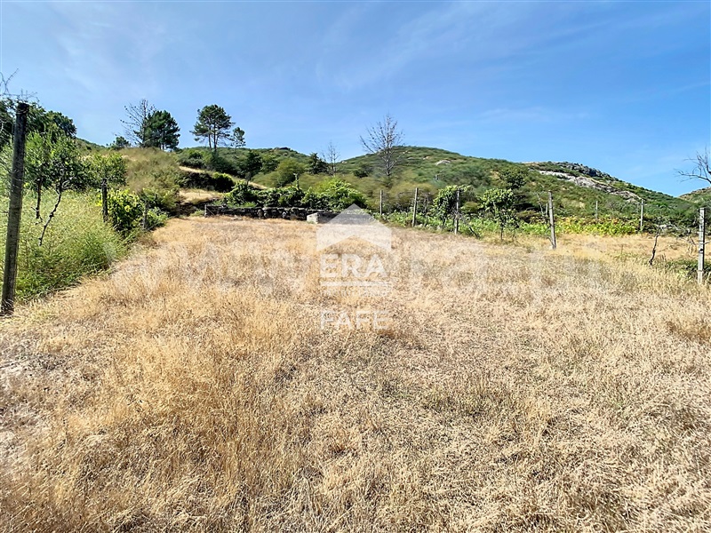 Terreno  Fafe, Moreira do Rei e Várzea Cova - 1432484 - 6