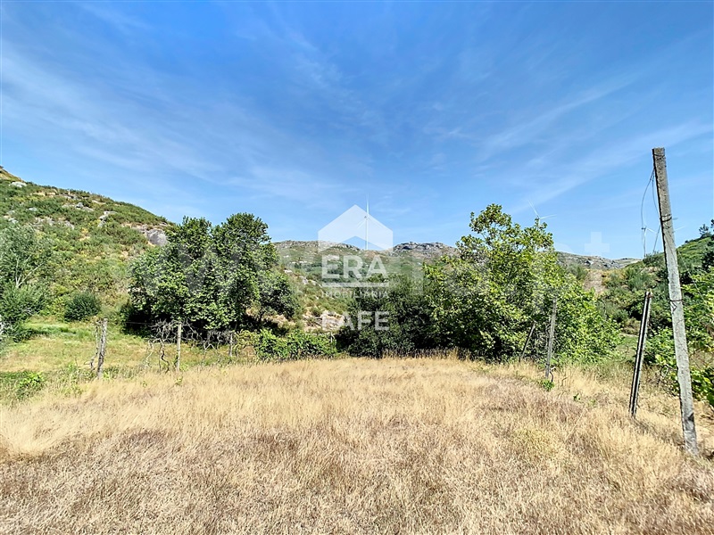 Terreno  Fafe, Moreira do Rei e Várzea Cova - 1432484 - 7