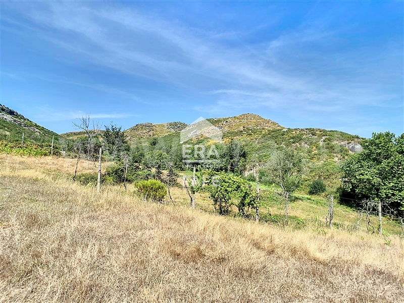 Terreno  Fafe, Moreira do Rei e Várzea Cova - 1432484 - 8