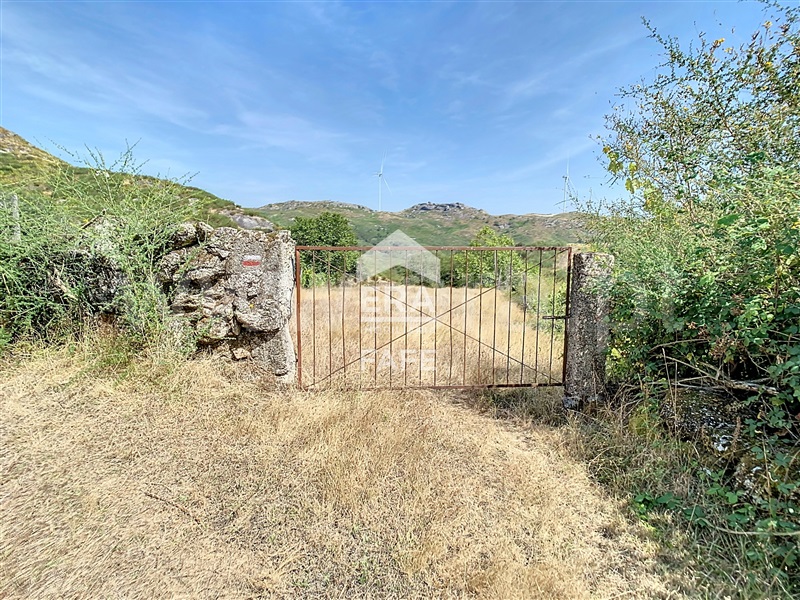 Terreno  Fafe, Moreira do Rei e Várzea Cova - 1432484 - 9