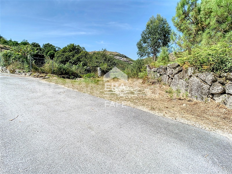 Terreno  Fafe, Moreira do Rei e Várzea Cova - 1432484 - 11