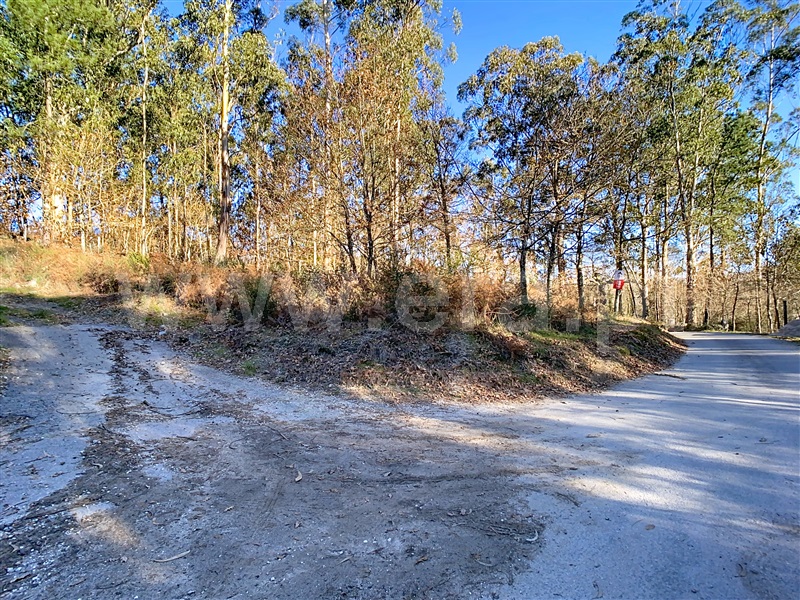 Terreno / Fafe, Moreira do Rei e Várzea Cova