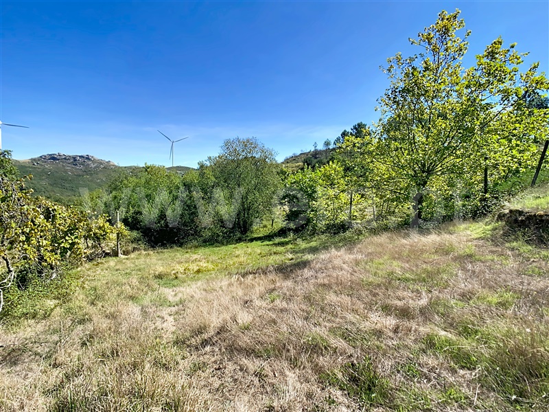 Terreno / Fafe, Moreira do Rei e Várzea Cova