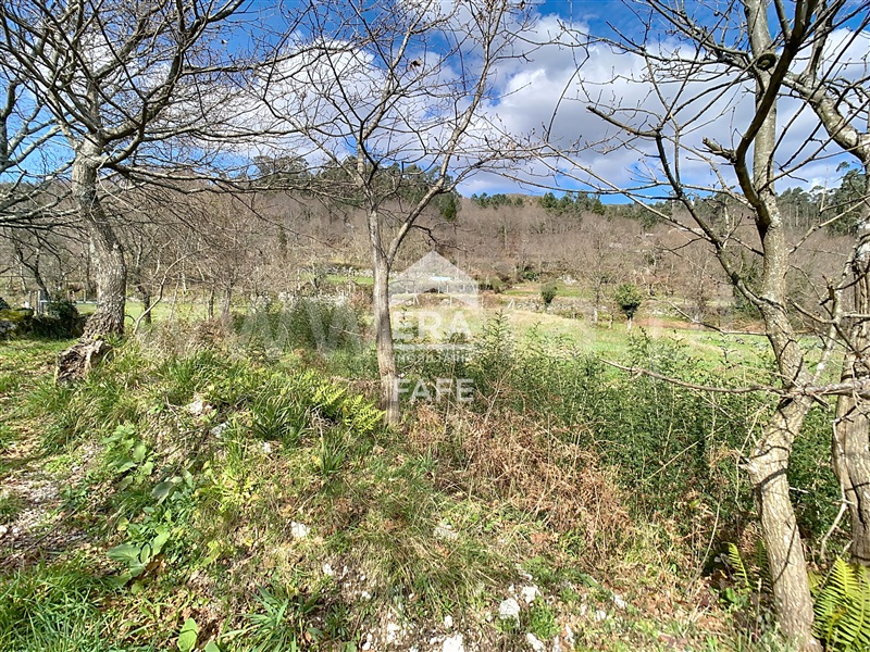 Terreno / Fafe, Moreira do Rei e Várzea Cova