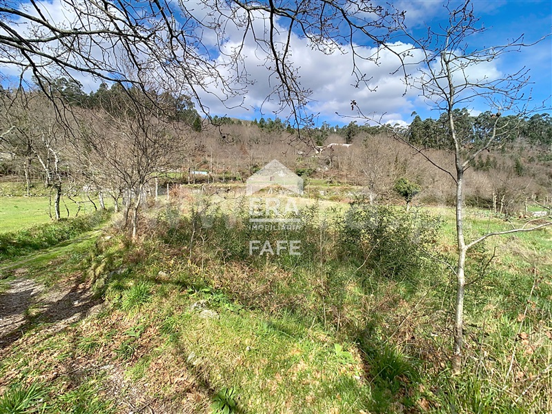 Terreno  Fafe, Moreira do Rei e Várzea Cova - 826450 - 2