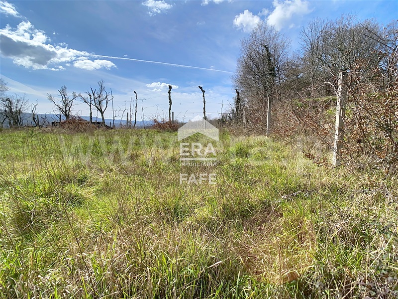 Terreno  Fafe, Moreira do Rei e Várzea Cova - 826450 - 4