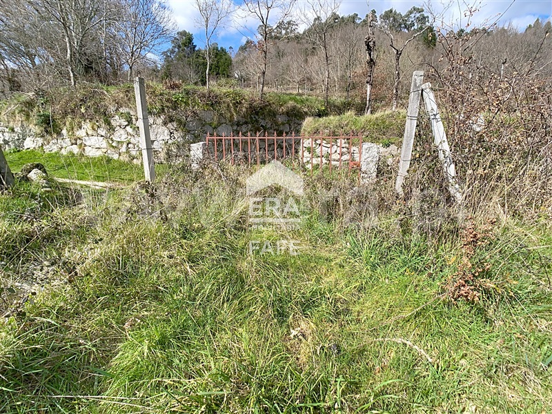 Terreno  Fafe, Moreira do Rei e Várzea Cova - 826450 - 5