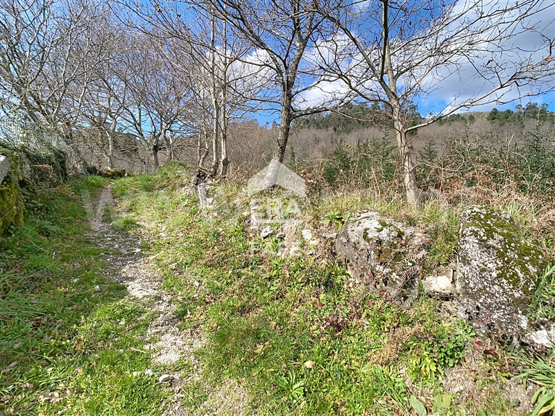 Terreno  Fafe, Moreira do Rei e Várzea Cova - 826450 - 9