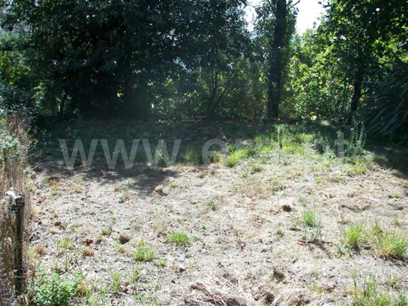 Terreno  Fafe, Moreira do Rei e Várzea Cova - 936607 - 3