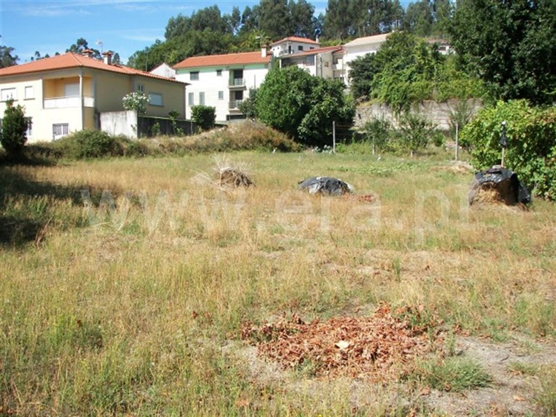 Terreno  Fafe, Moreira do Rei e Várzea Cova - 936607 - 5