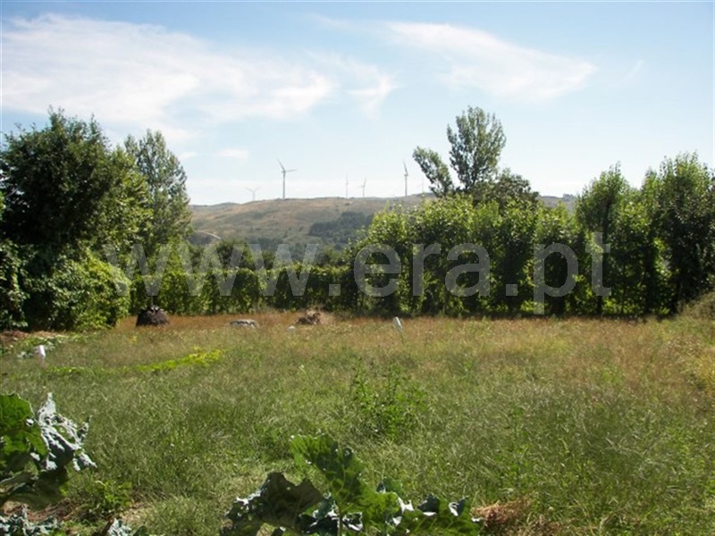 Terreno / Fafe, Moreira do Rei e Várzea Cova