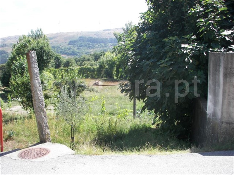Terreno  Fafe, Moreira do Rei e Várzea Cova - 936607 - 10