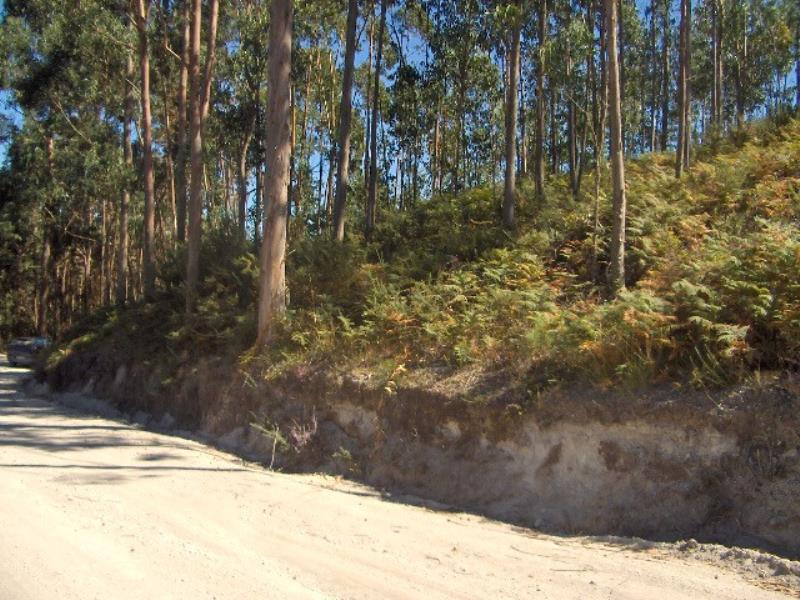 Terreno / Fafe, Passos