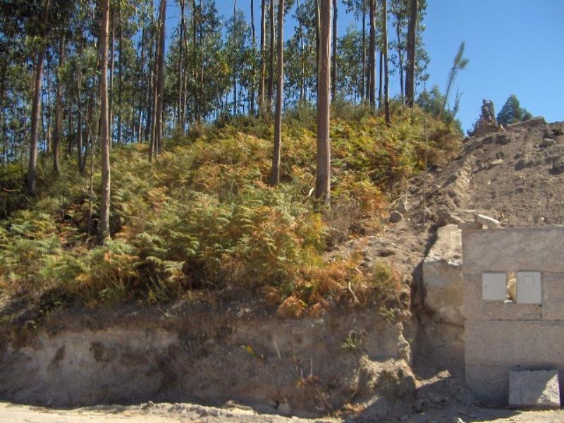 Terreno  Fafe, Passos - 101902 - 2