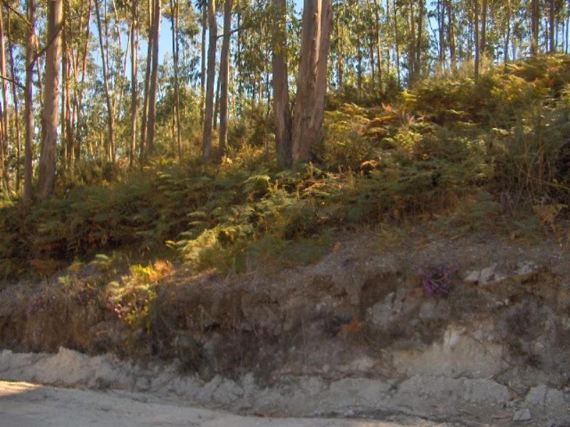 Terreno  Fafe, Passos - 101902 - 3