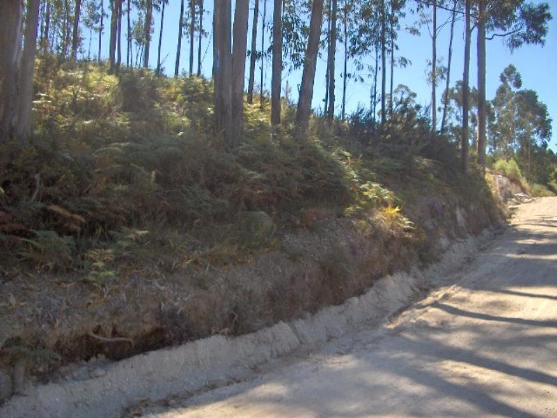 Terreno  Fafe, Passos - 101902 - 4