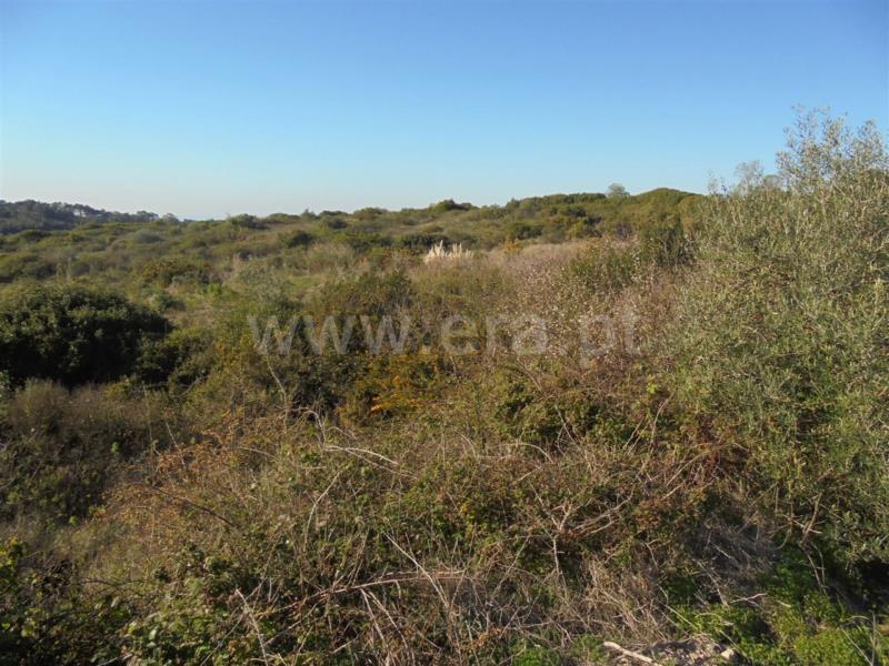 Terreno  Fafe, Passos - 101902 - 7