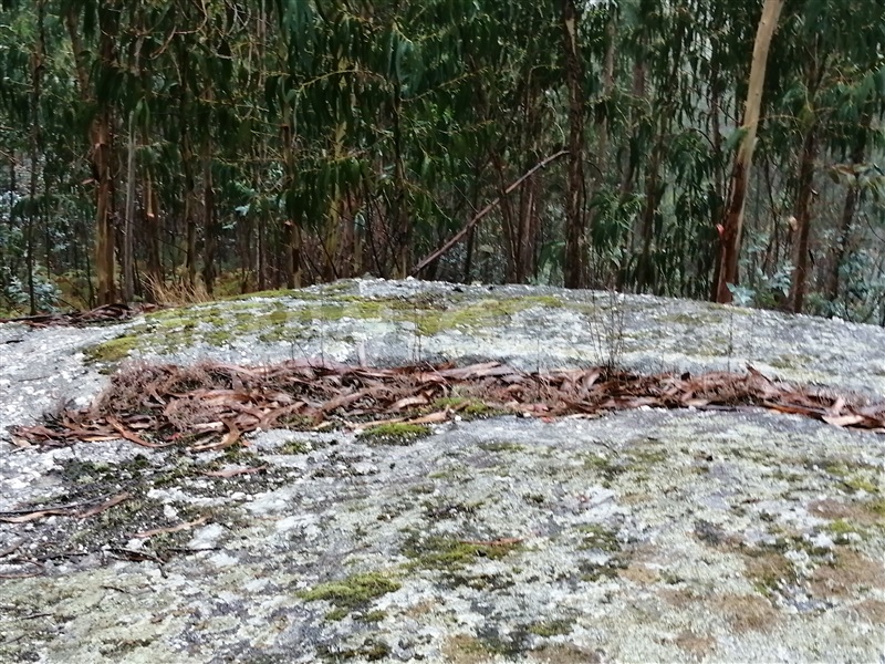 Terreno  Fafe, Passos - 1027442 - 13