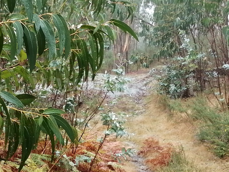 Terreno  Fafe, Passos - 1027442 - 14
