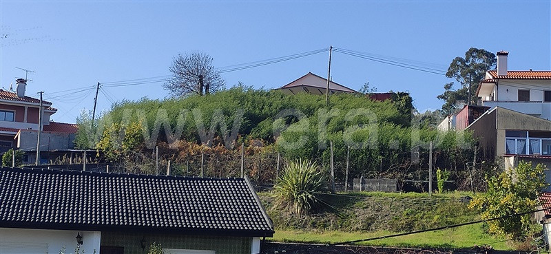 Terreno  Fafe, Fafe - 1220062 - 15