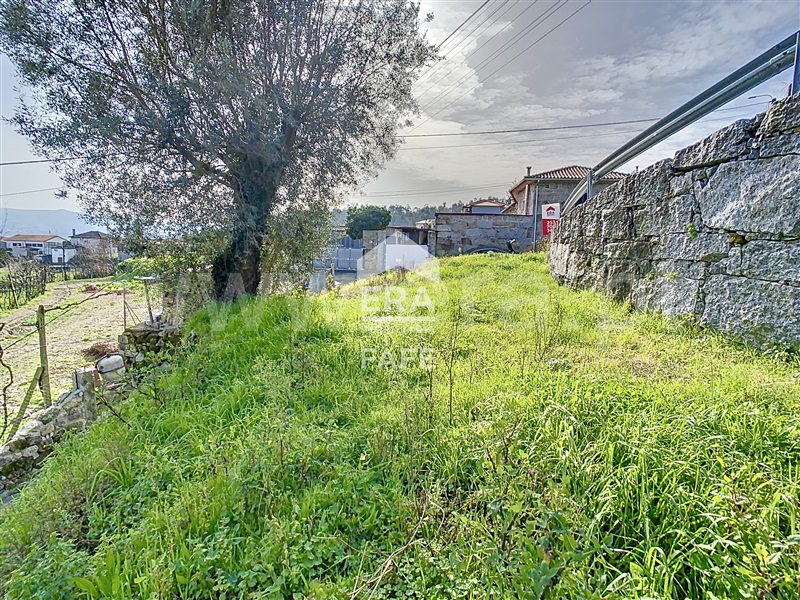 Terreno / Fafe, Passos