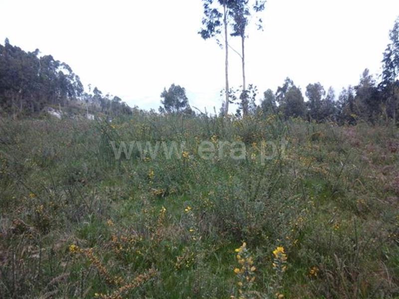 Terreno  Fafe, Passos - 640445 - 3