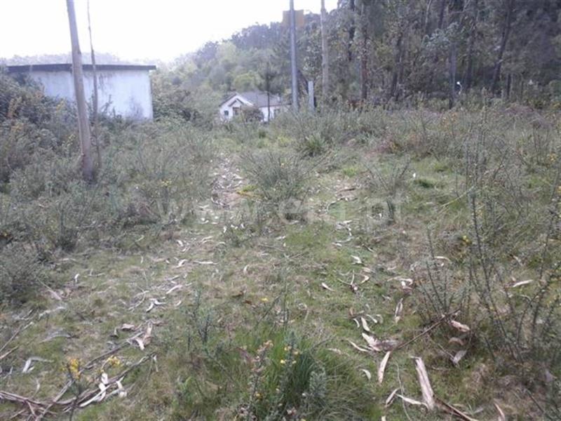 Terreno  Fafe, Passos - 640445 - 4