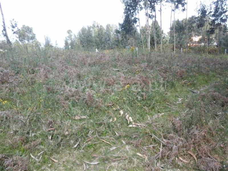 Terreno  Fafe, Passos - 640445 - 6