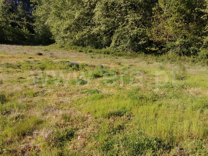Terreno  Fafe, Regadas - 1173016 - 2