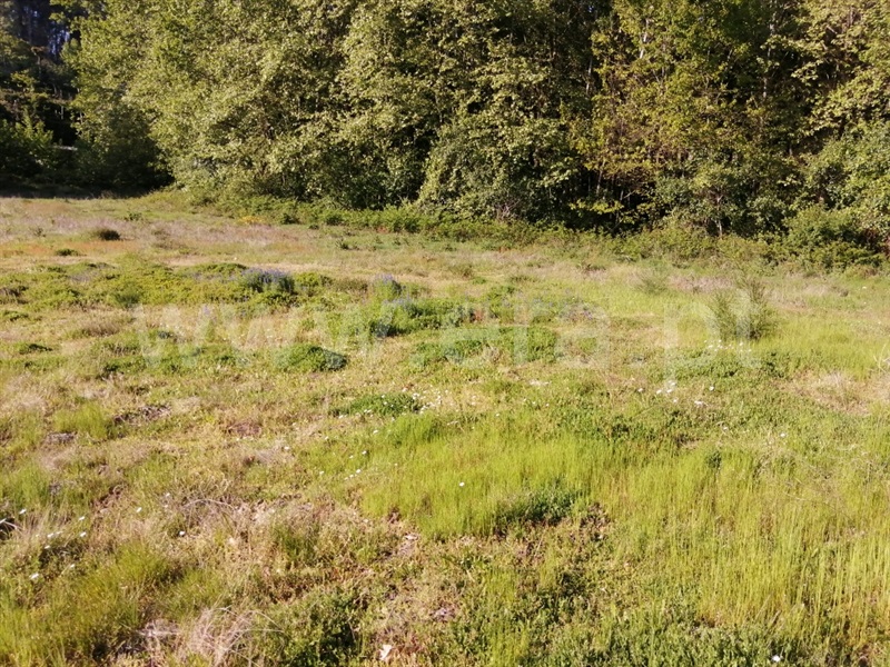 Terreno  Fafe, Regadas - 1173016 - 5