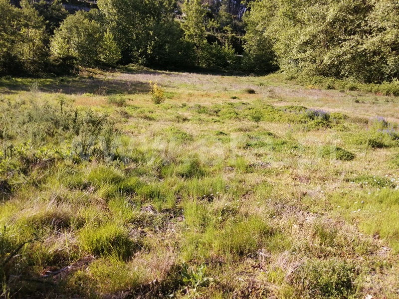 Terreno  Fafe, Regadas - 1173016 - 6