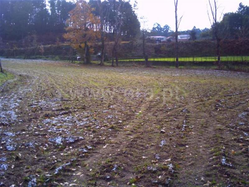 Terreno  Fafe, Regadas - 813688 - 4