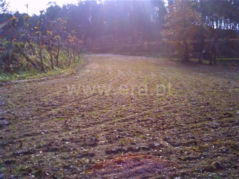 Terreno  Fafe, Regadas - 813688 - 6