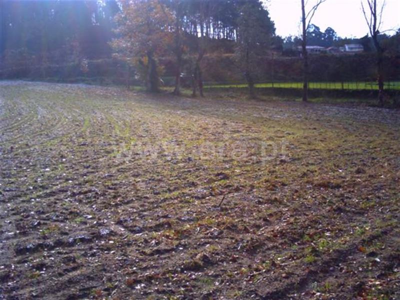 Terreno  Fafe, Regadas - 813688 - 7