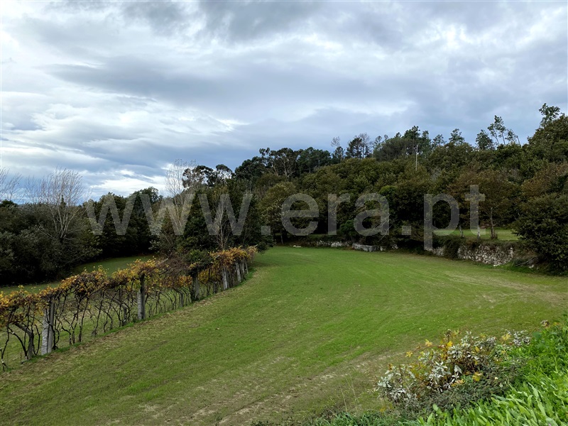 Terreno  Fafe, Revelhe - 1153813 - 4