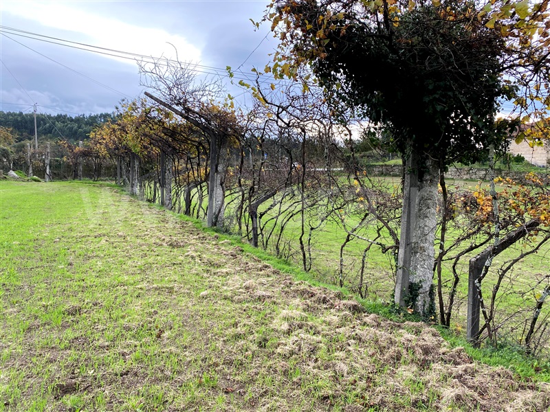 Terreno  Fafe, Revelhe - 1153813 - 9